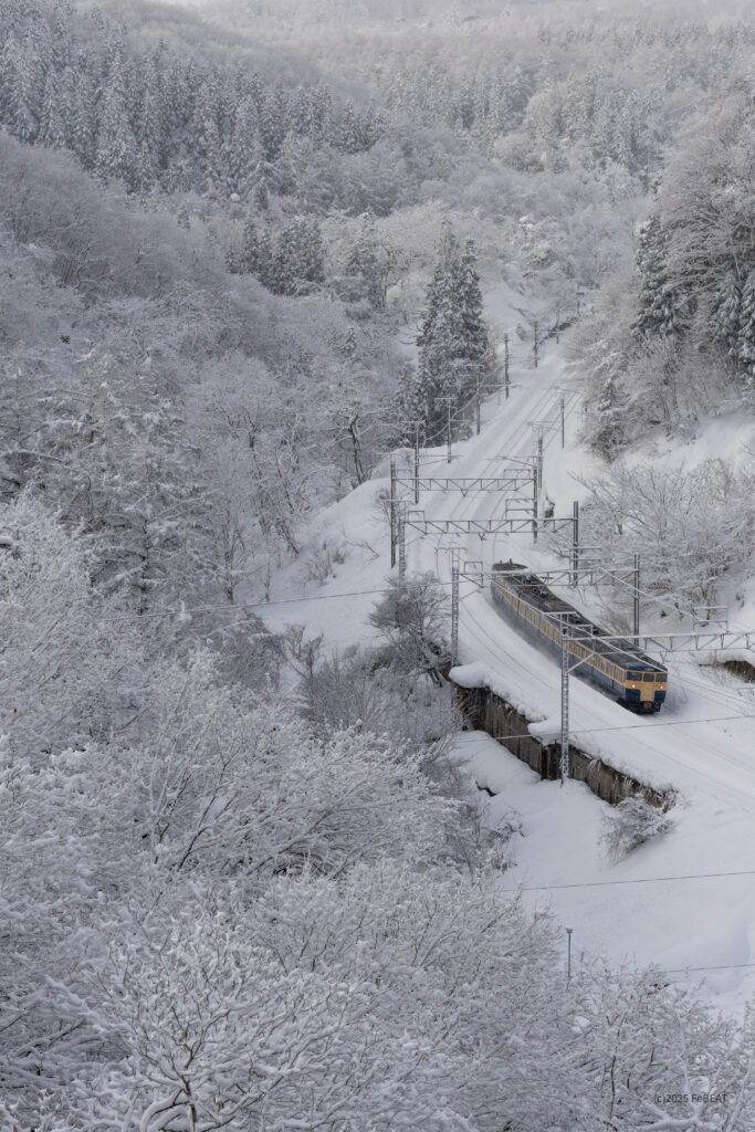 しなの鉄道北しなの線を黒姫から妙高高原へと走る横須賀線色の115系