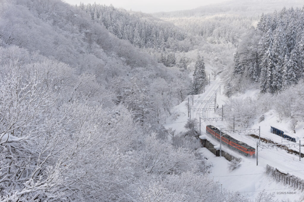 しなの鉄道北しなの線を妙高高原から黒姫へと走る湘南色の115系