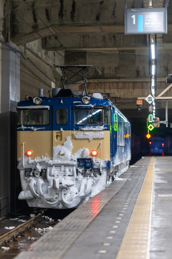 上越線の浦佐駅に停車するEF64形電気機関車