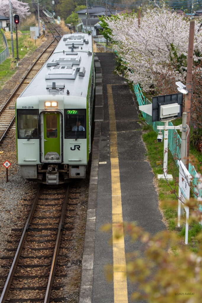 桜の花が見守るなか八高線の越生駅へと停車するキハ110系