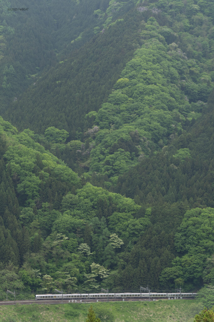 西武秩父線を横瀬から芦ヶ久保へと走る001系Laview