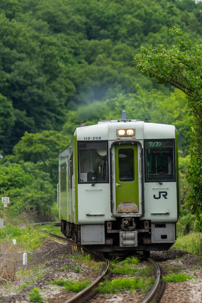 八高線を小川町から明覚へと走るキハ110系