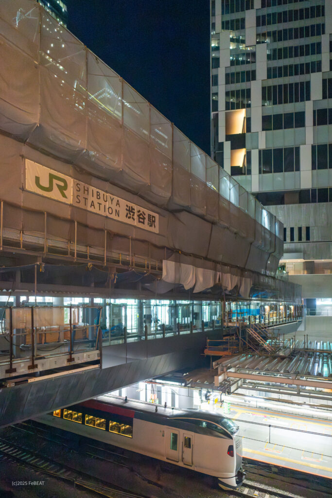 渋谷駅に到着するE259系成田エクスプレス