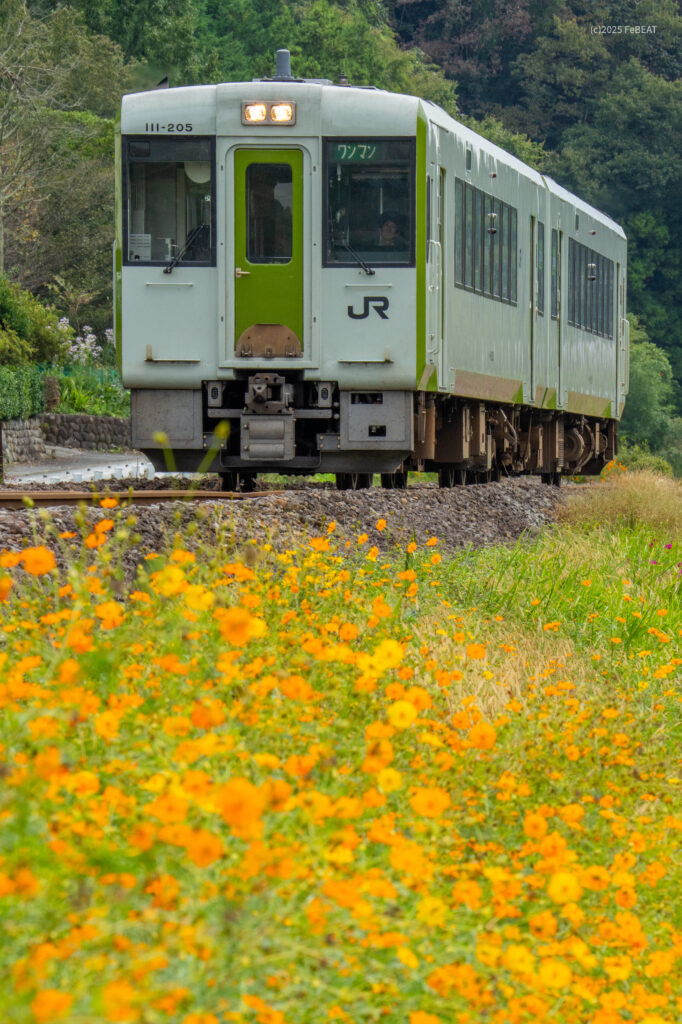八高線を明覚から小川町へと走るキハ110系