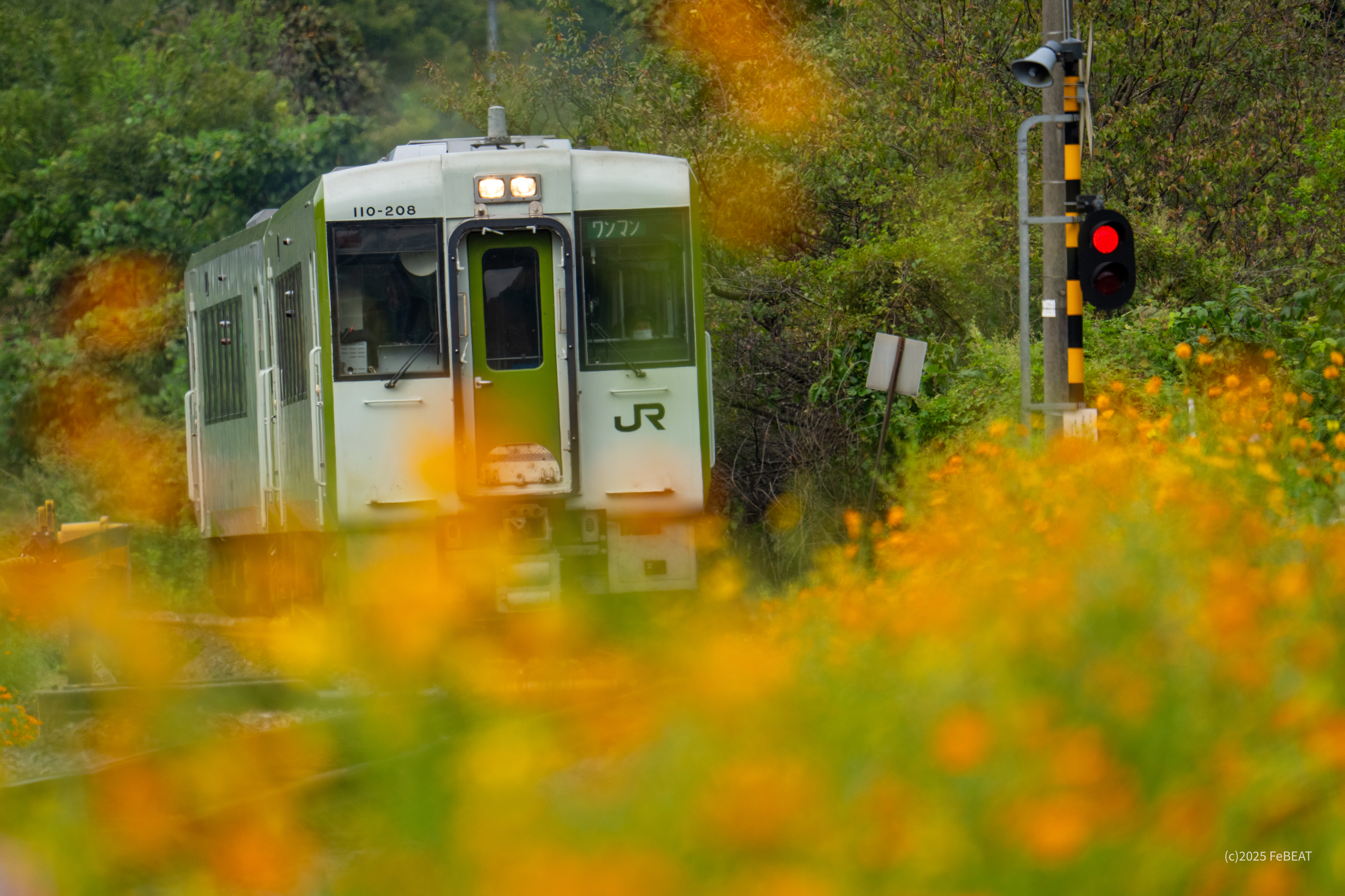 八高線を小川町から明覚へと走るキハ110系