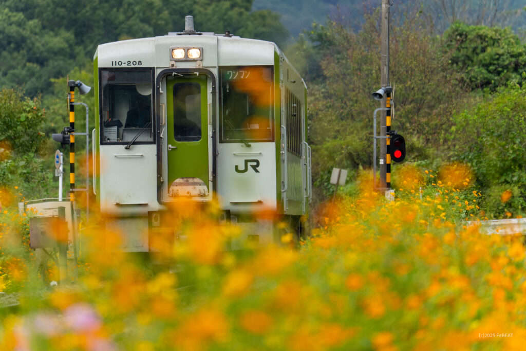 八高線を小川町から明覚へと走るキハ110系