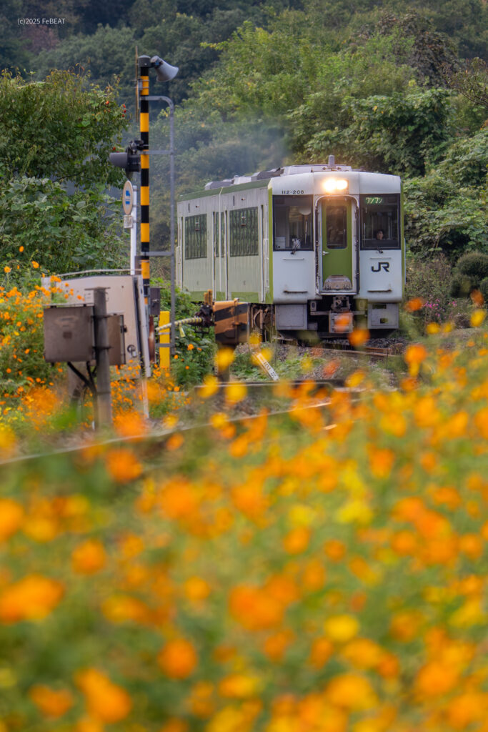 八高線を小川町から明覚へと走るキハ110系