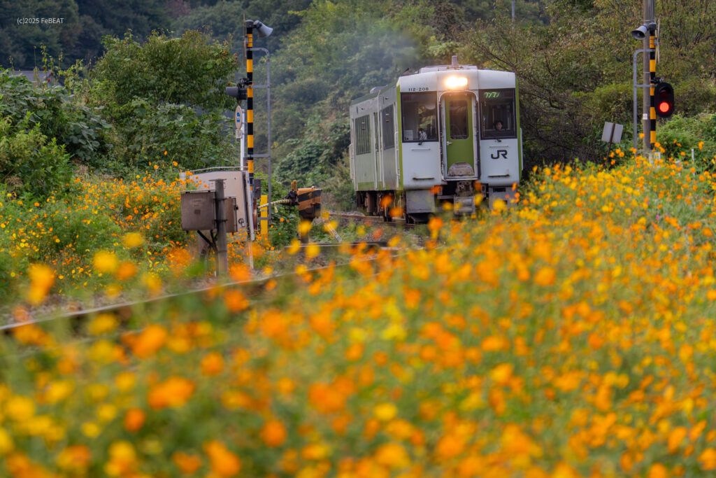 八高線を小川町から明覚へと走るキハ110系