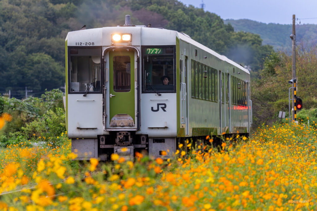 八高線を小川町から明覚へと走るキハ110系