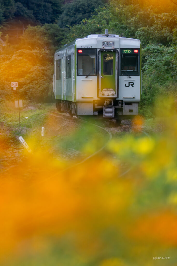 八高線を明覚から小川町へと走るキハ110系