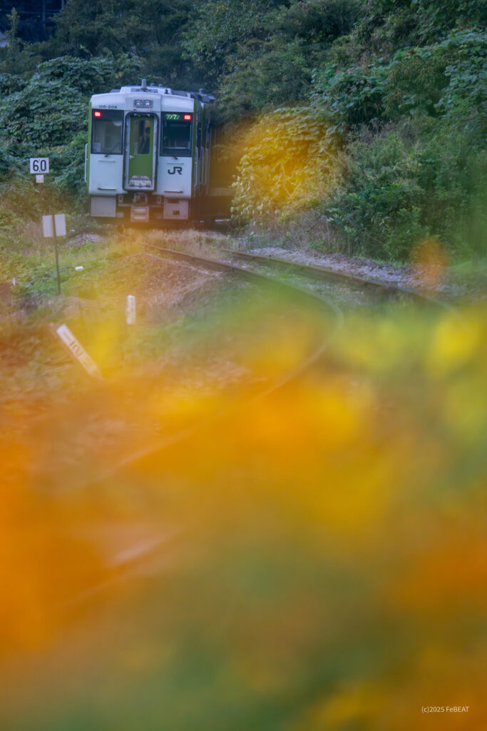 八高線を明覚から小川町へと走るキハ110系