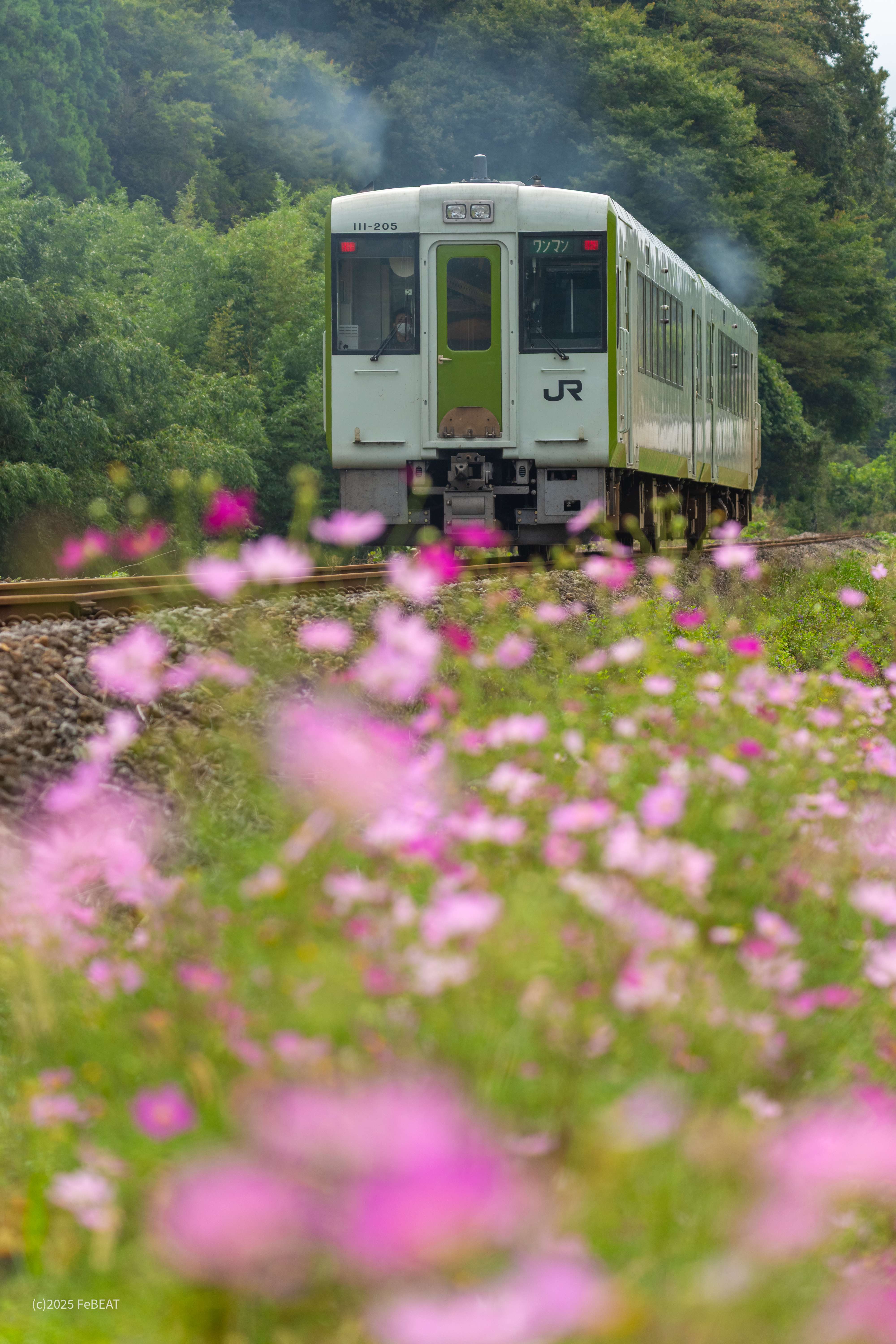 八高線を小川町から明覚へと走るキハ110系
