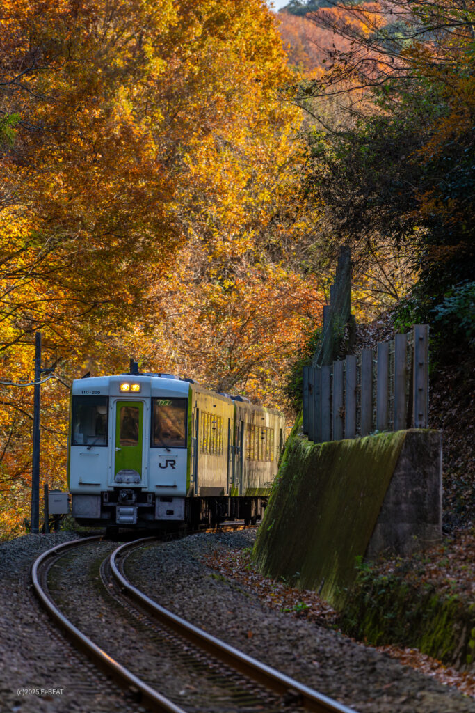 紅葉の八高線を竹沢から折原へと走るキハ110系