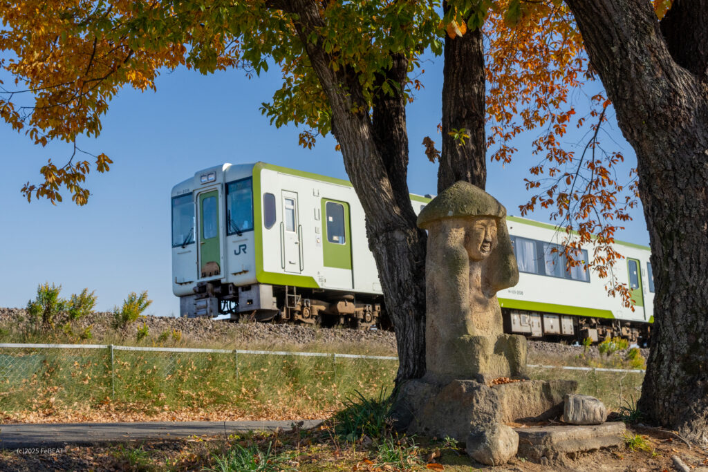 八高線を群馬藤岡から丹荘へと走るキハ110系
