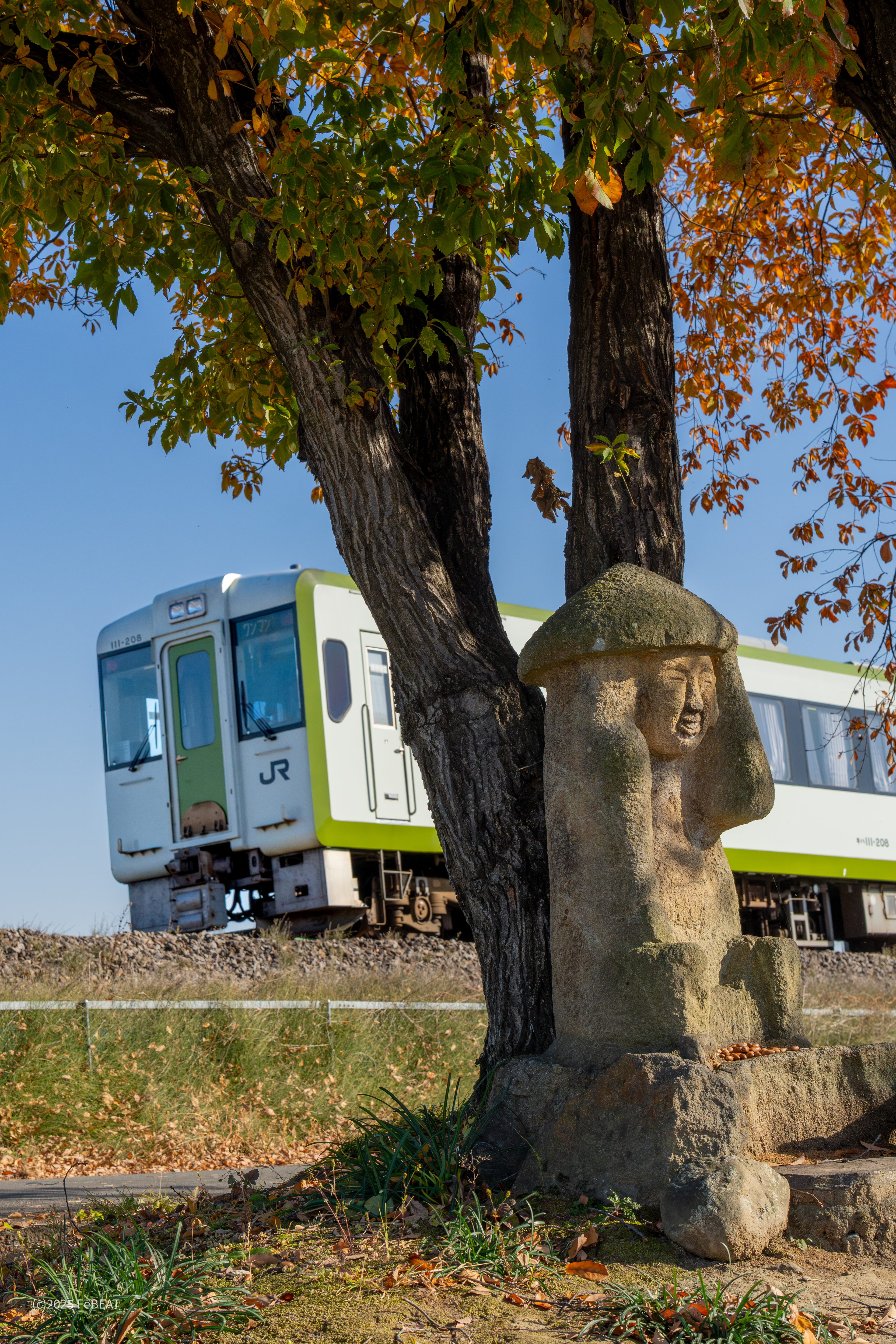 八高線を群馬藤岡から丹荘へと走るキハ110系