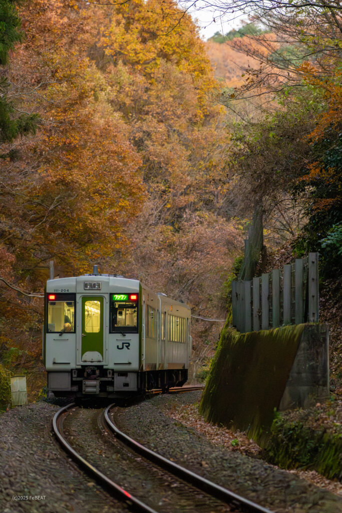 紅葉の八高線を折原から竹沢へと走るキハ110系