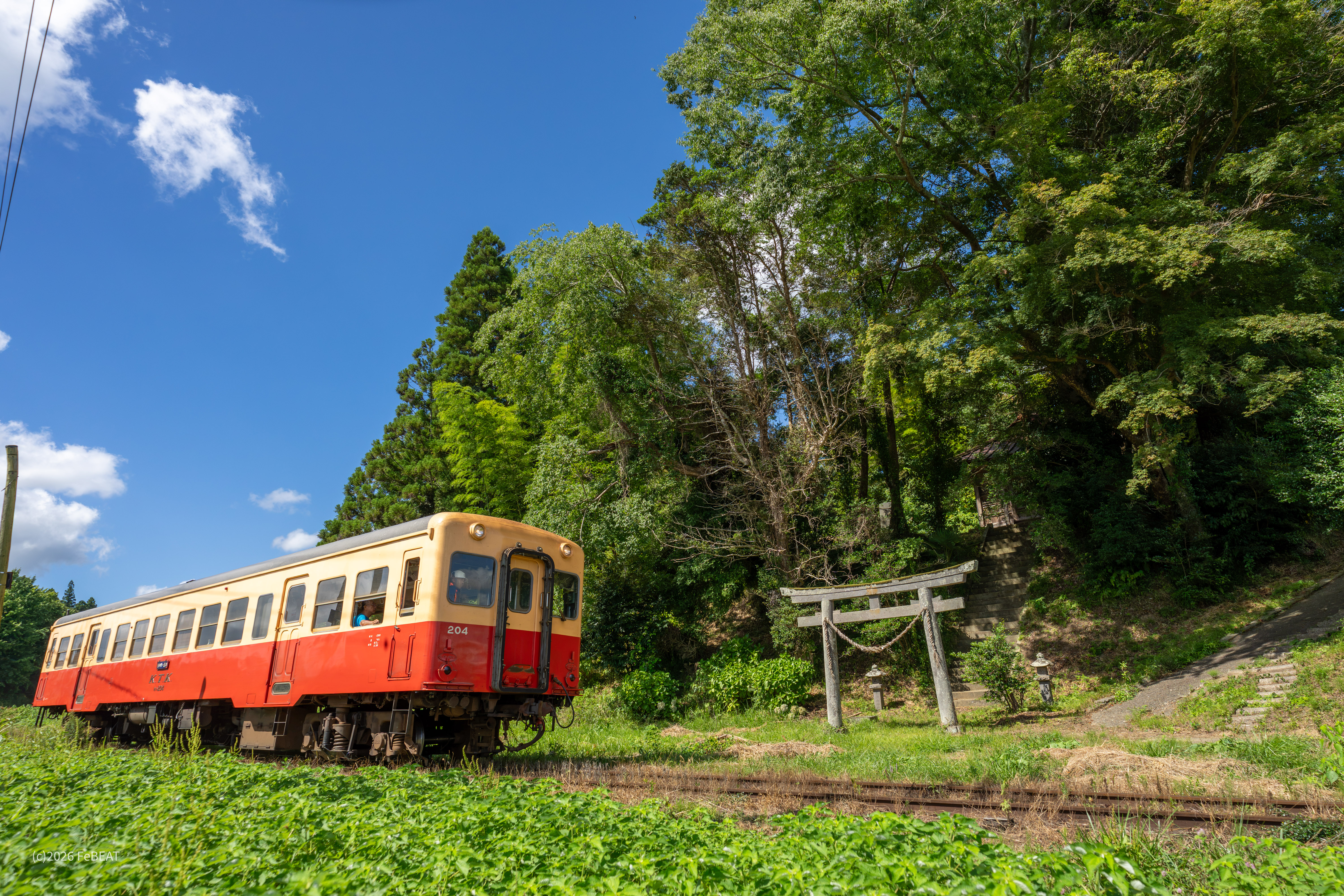 小湊鉄道を飯給から里見へと養老川を渡るキハ200形