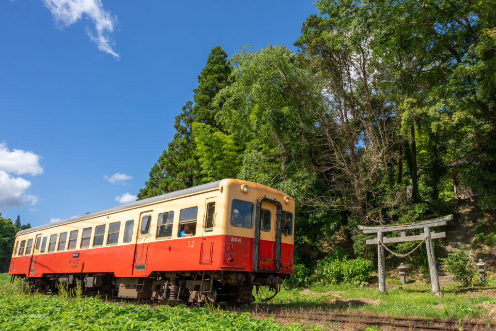 小湊鉄道を飯給から里見へと養老川を渡るキハ200形