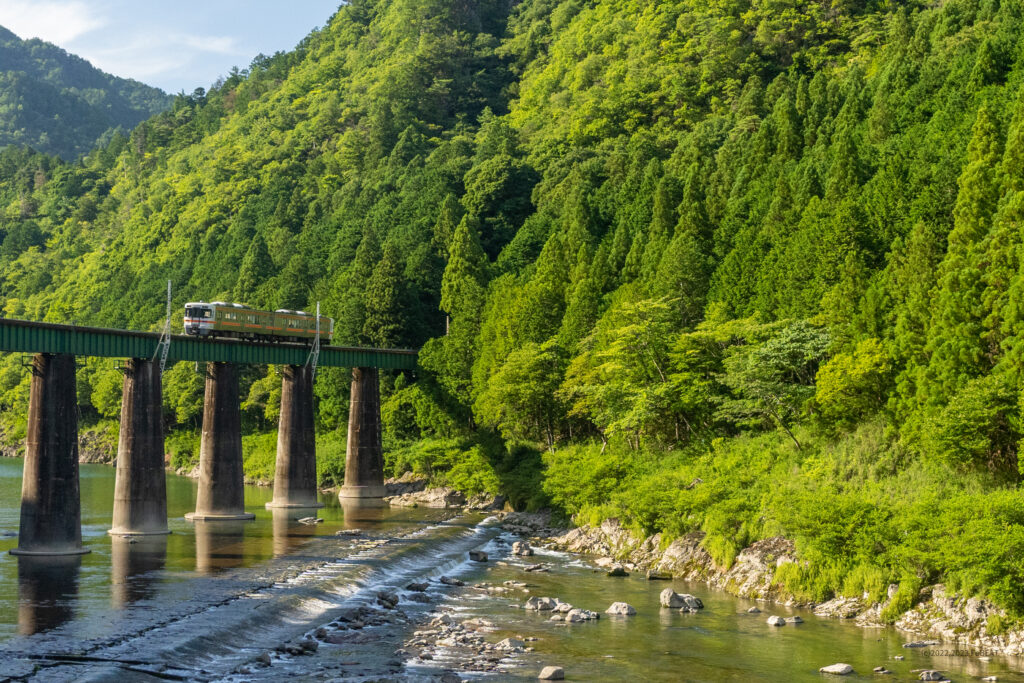 第一飛騨川橋梁を渡り高山本線を白川口から下油井へと走るキハ25系
