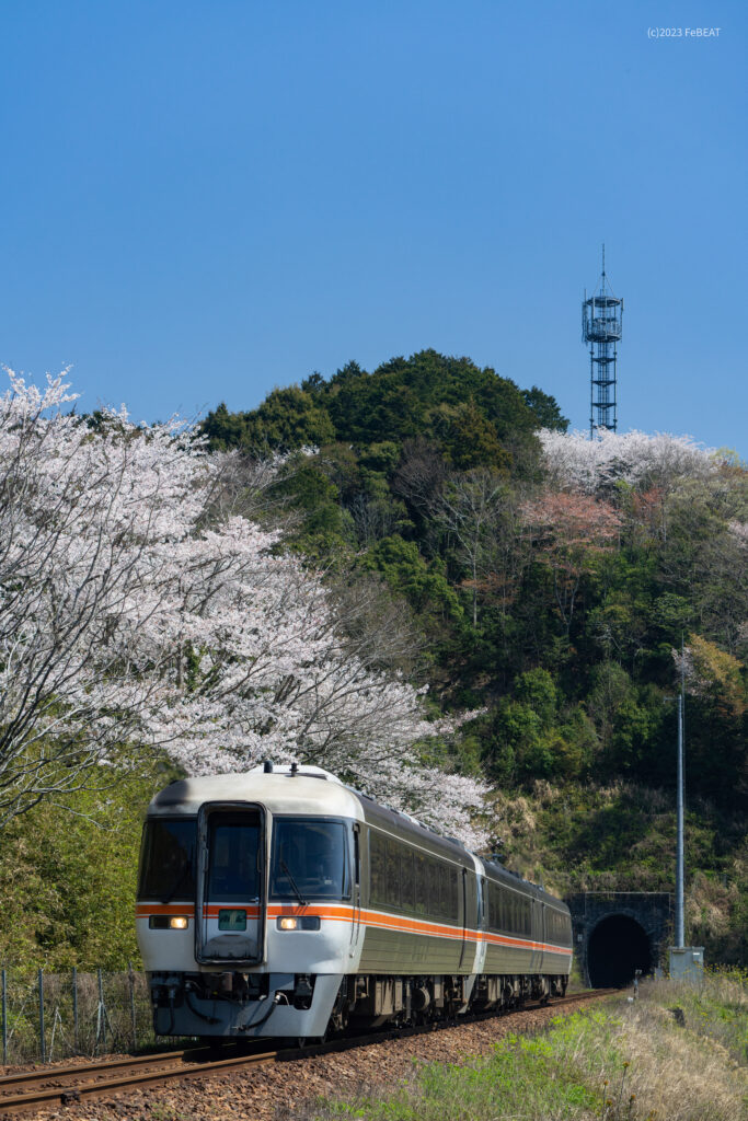 紀勢本線を栃原から川添へと走るキハ85系「南紀」