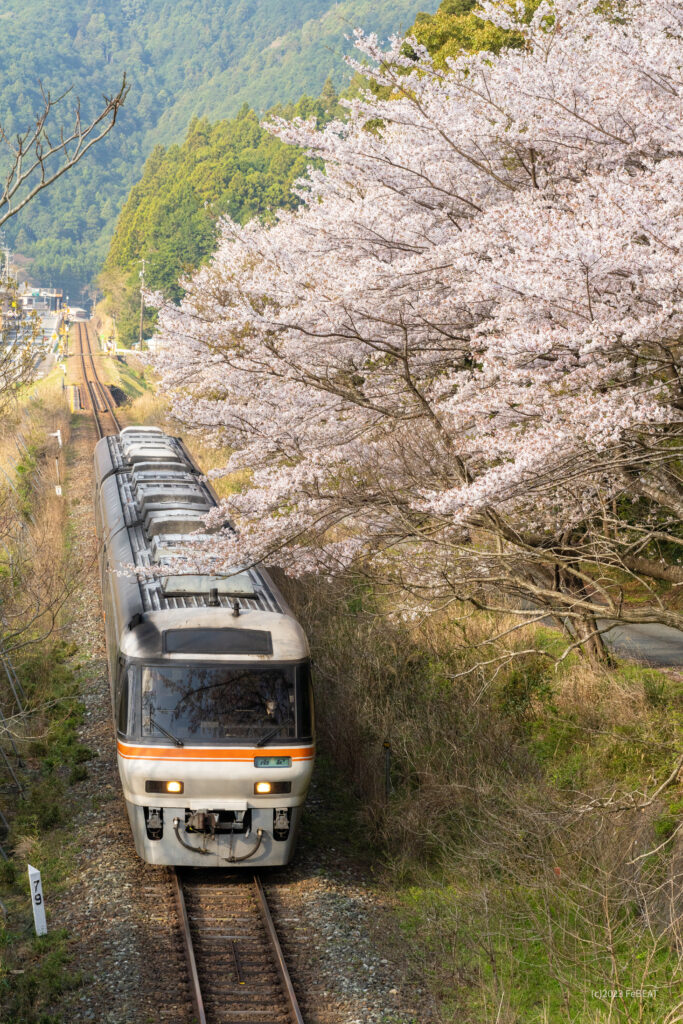 紀勢本線を阿曽から伊勢柏崎へと走るキハ85系「南紀」