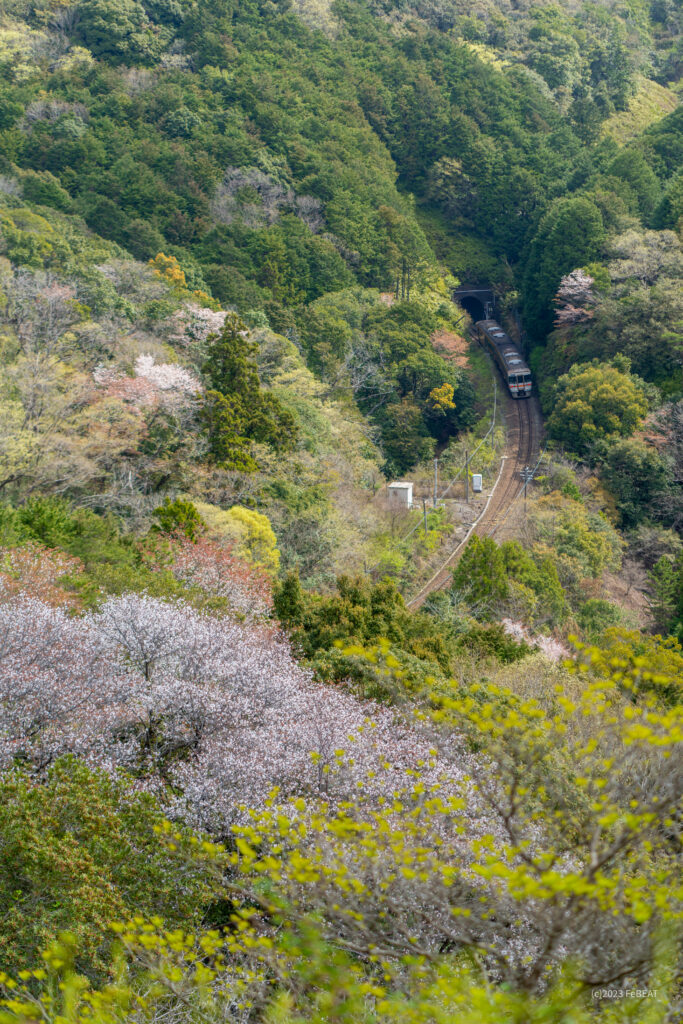 紀勢本線の荷坂峠を紀伊長島から梅ヶ谷へと走るキハ25系