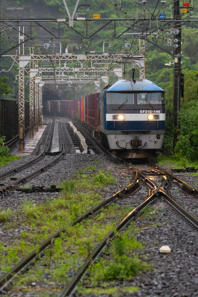 雨の東海道本線を真鶴から根府川へと走るEF210形牽引の貨物列車