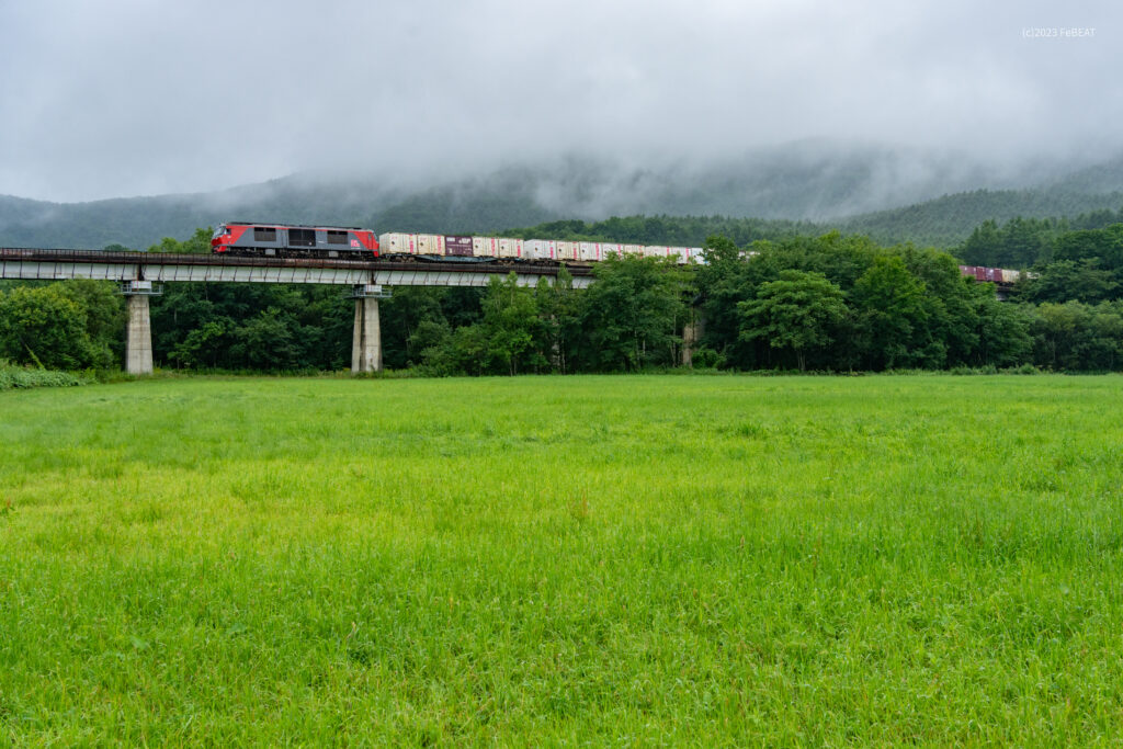 石勝線をトマムから新得へと走るDF200形牽引の貨物列車