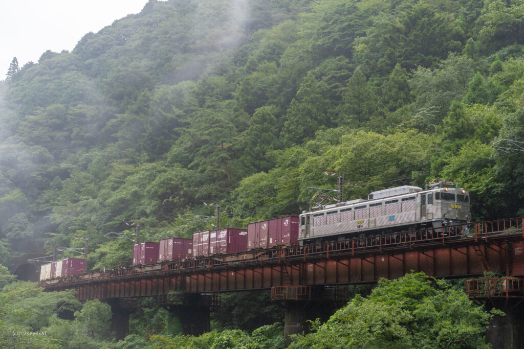 日豊本線を宗太郎から市棚へと走るEF81形牽引の貨物列車
