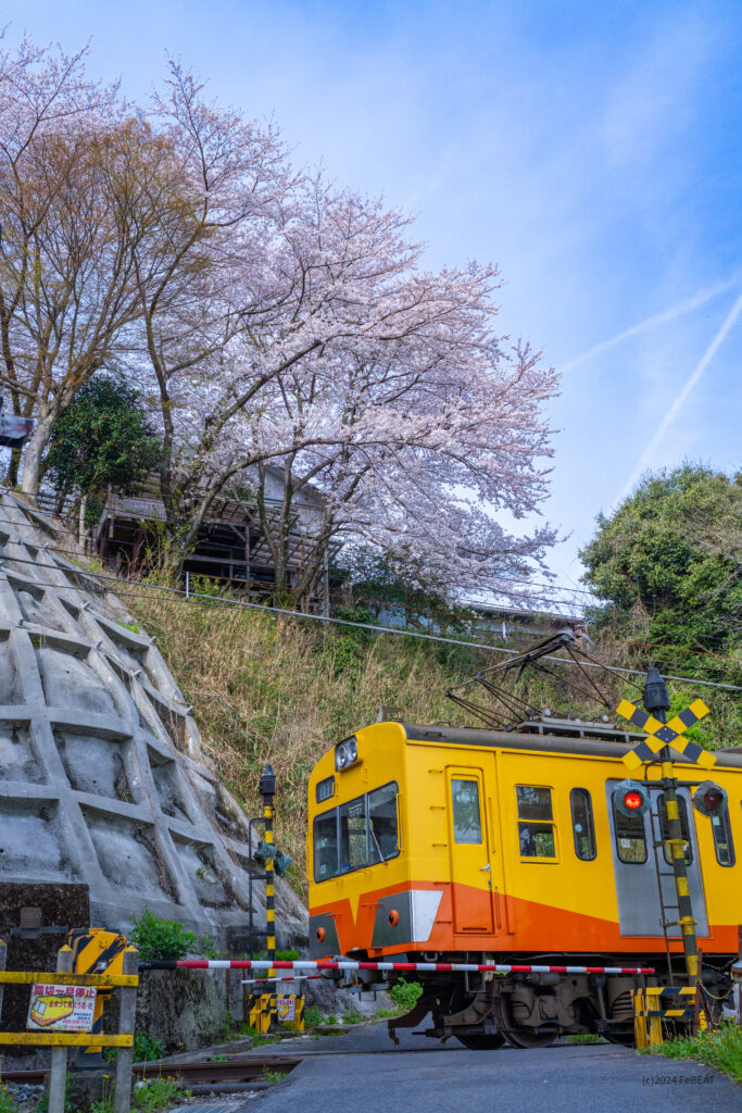 三岐鉄道三岐線の山城〜保々を走る101系