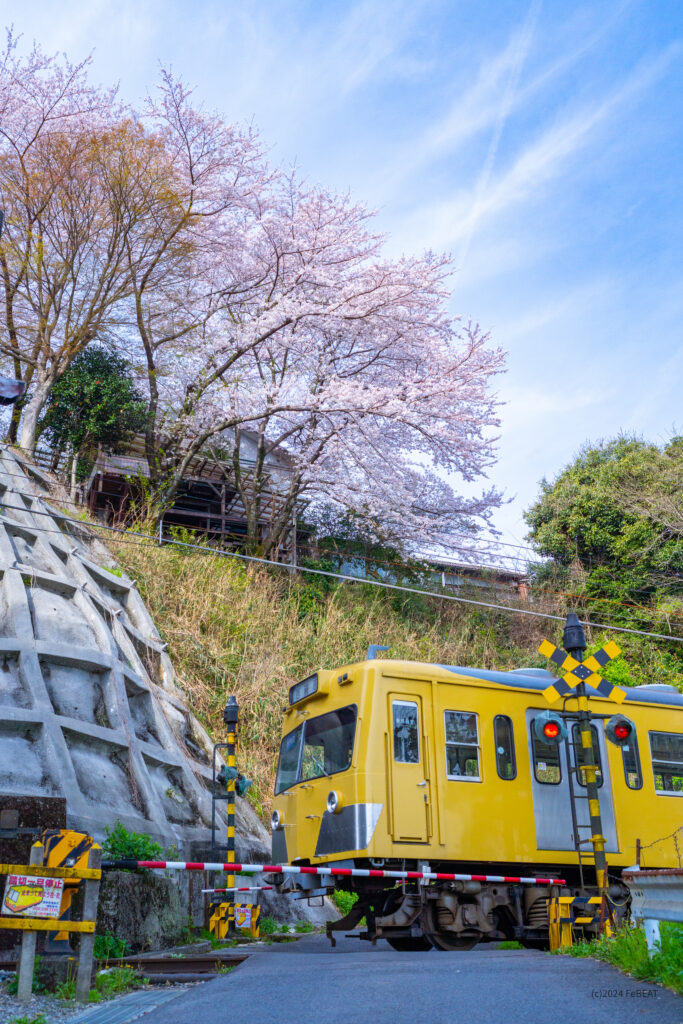 三岐鉄道三岐線の山城〜保々を走る801系