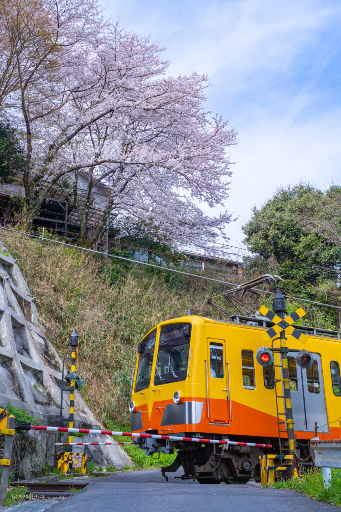 三岐鉄道三岐線の山城〜保々を走る851系