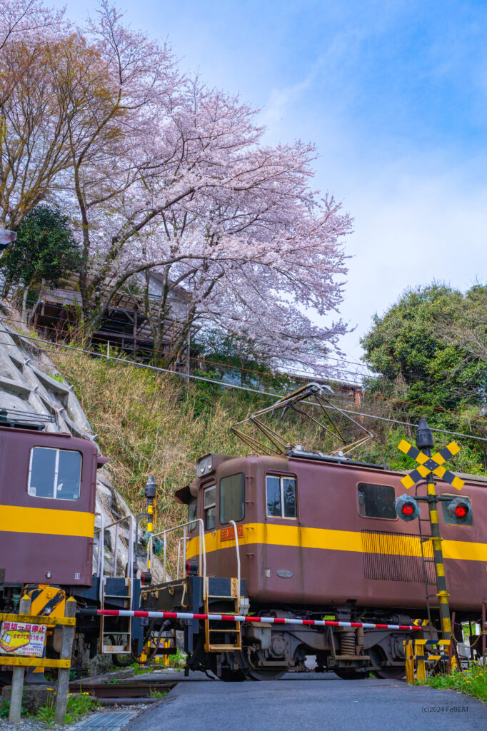 三岐鉄道三岐線の山城〜保々を走るED45形電気機関車