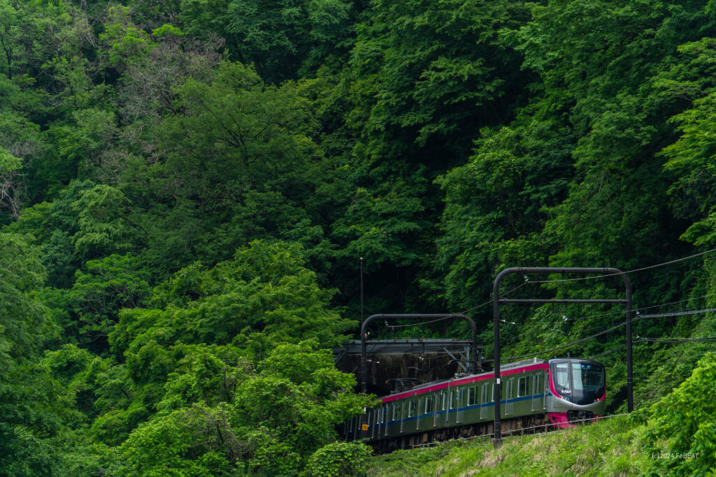 京王高尾線を高尾山口から高尾へと走る5000系「Mt.TAKAO」号