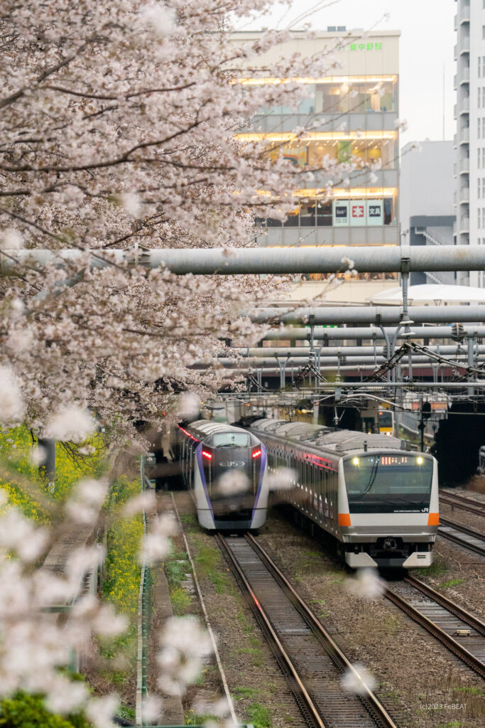 中央線の東中野駅近くで離合するE233系とE353系