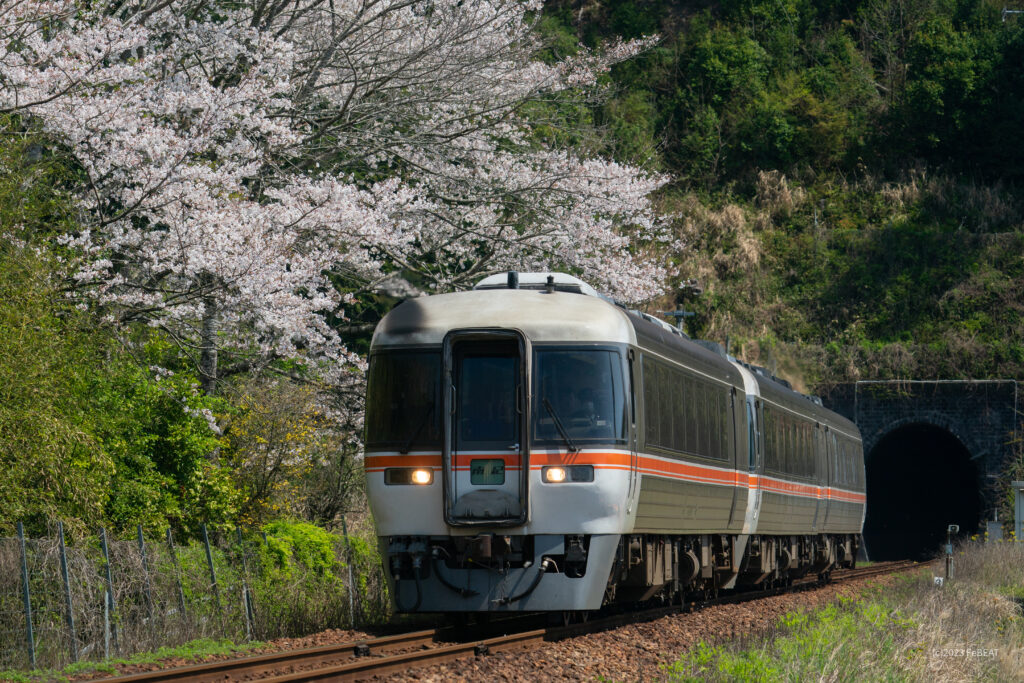 紀勢本線を栃原から川添へと走るキハ85系「南紀」