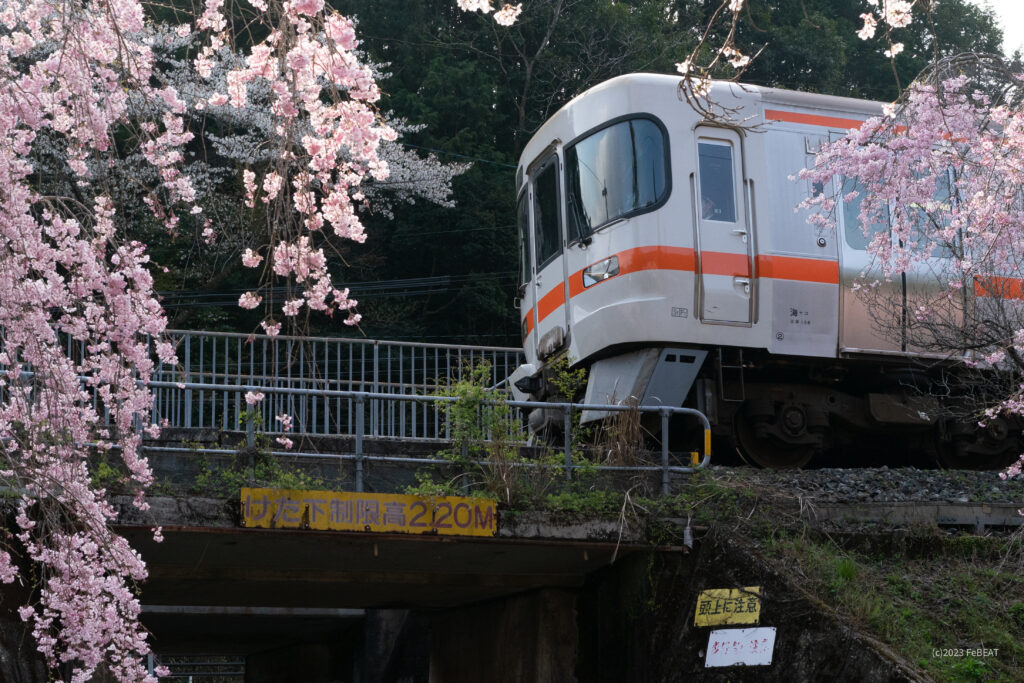 咲き乱れる桜を傍目に梅ヶ谷駅を発ち紀勢本線の大内山へと走るキハ25系