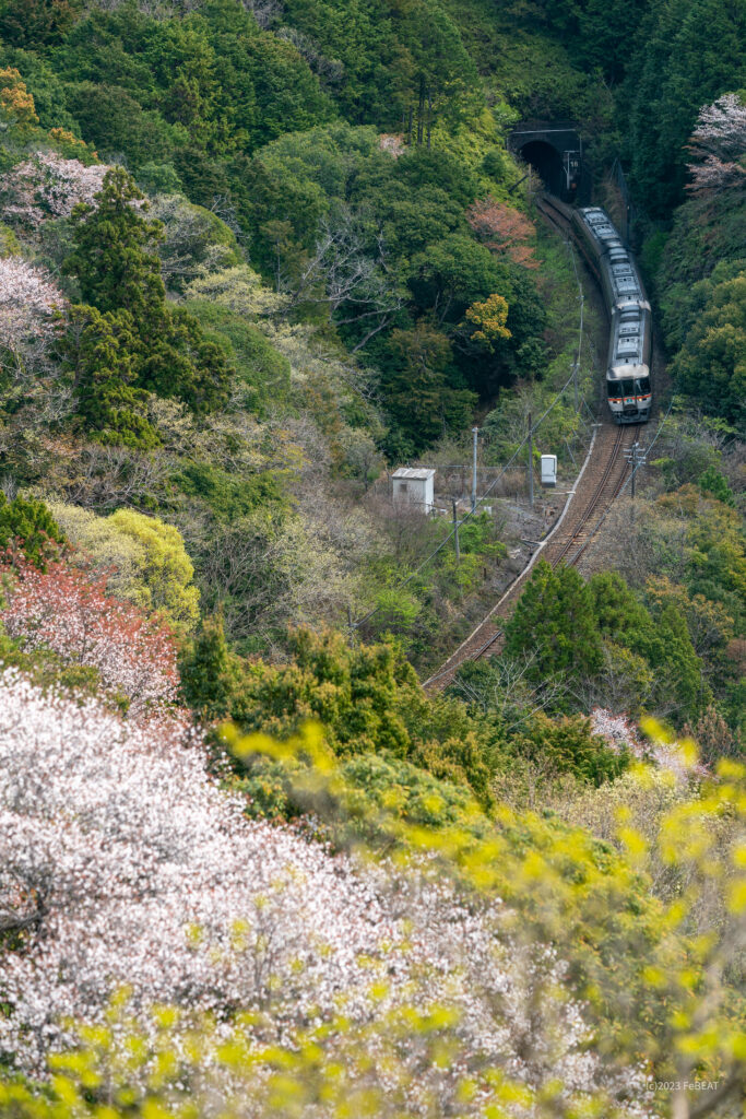 紀勢本線の荷坂峠を梅ヶ谷から紀伊長島へと走るキハ85系