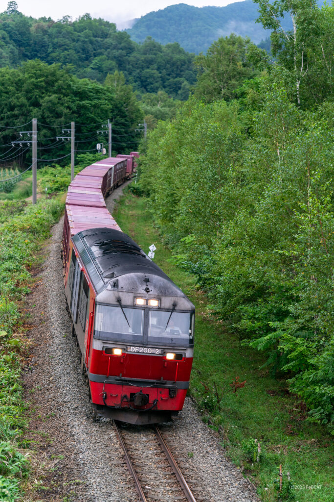 石勝線をトマムから占冠へと走るDF200形牽引の貨物列車