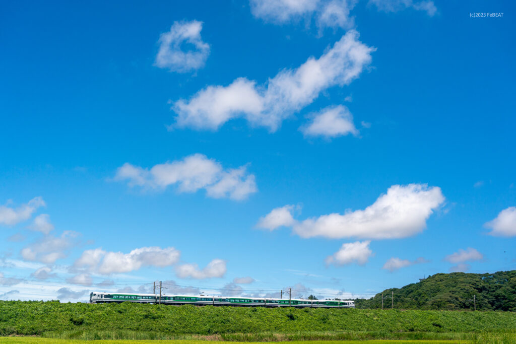 総武本線を倉橋から飯岡へと走るE257系の回送列車