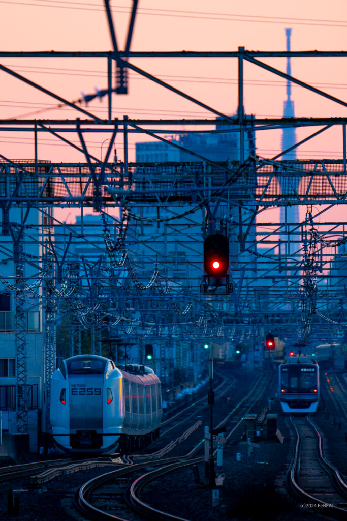 朝焼けの空にスカイツリーの見える中央快速線を吉祥寺から西荻窪へと走るE259系「成田エクスプレス」と中央緩行線を走る東京メトロ15000系