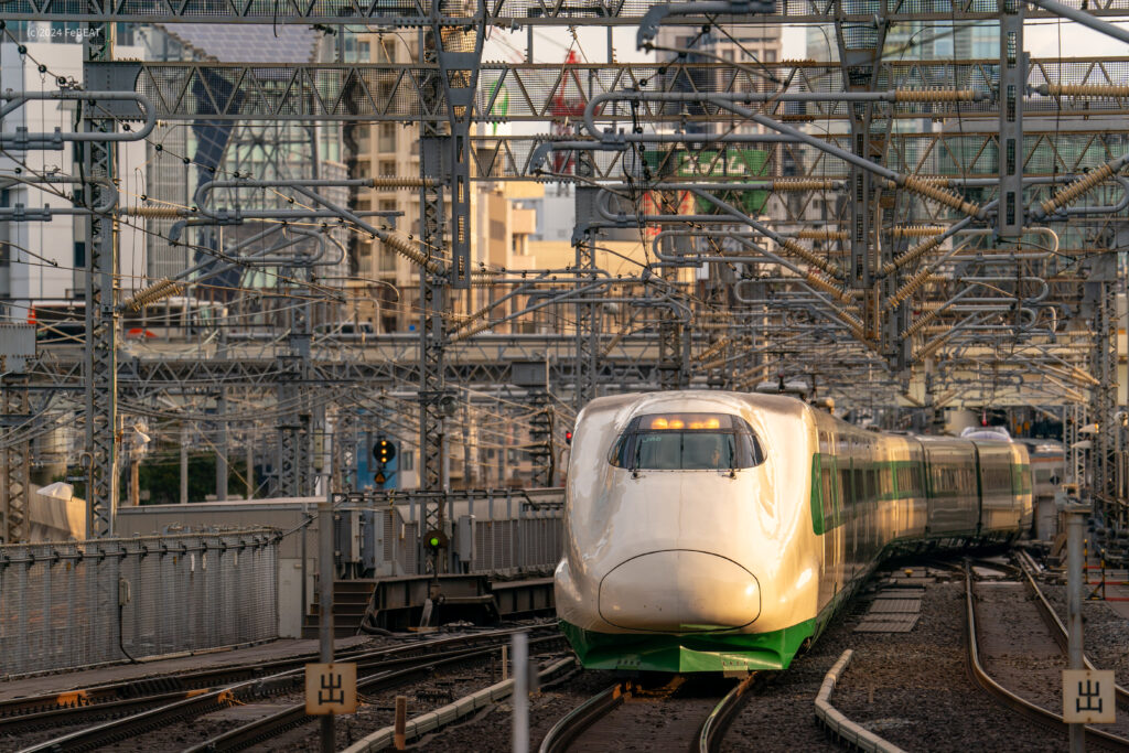 東北新幹線の東京駅に入線するE2系