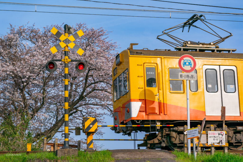 三岐鉄道三岐線の保々〜北勢中央公園口を走る101系