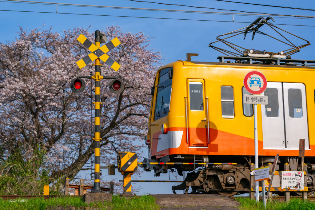 三岐鉄道三岐線の保々〜北勢中央公園口を走る851系