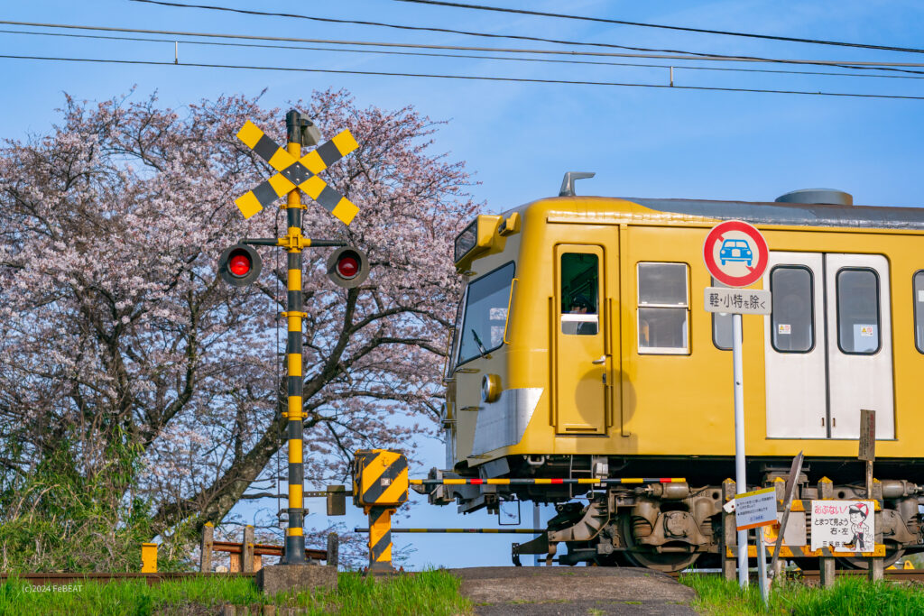 三岐鉄道三岐線の保々〜北勢中央公園口を走る801系