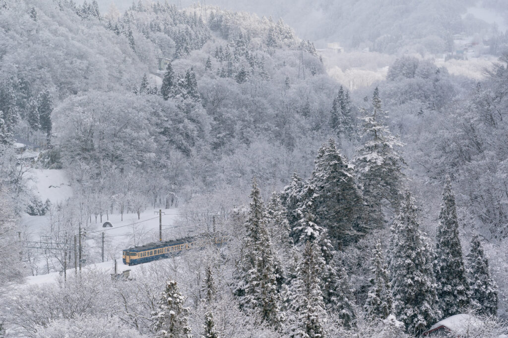 しなの鉄道北しなの線を妙高高原から黒姫へと走る横須賀線色の115系