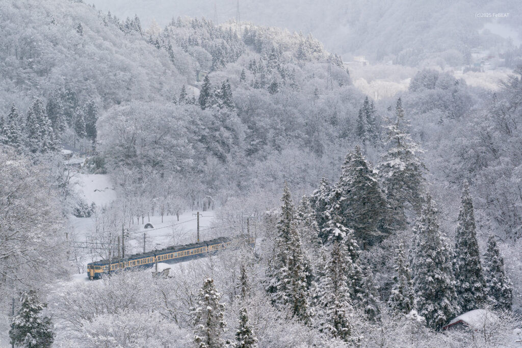 しなの鉄道北しなの線を妙高高原から黒姫へと走る横須賀線色の115系