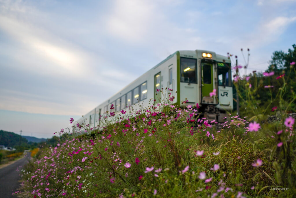 八高線を小川町から明覚へと走るキハ110系