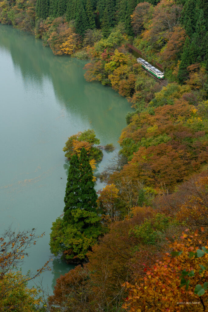 紅葉美しい川沿いの只見線を早戸から会津宮下へと走るキハ40系