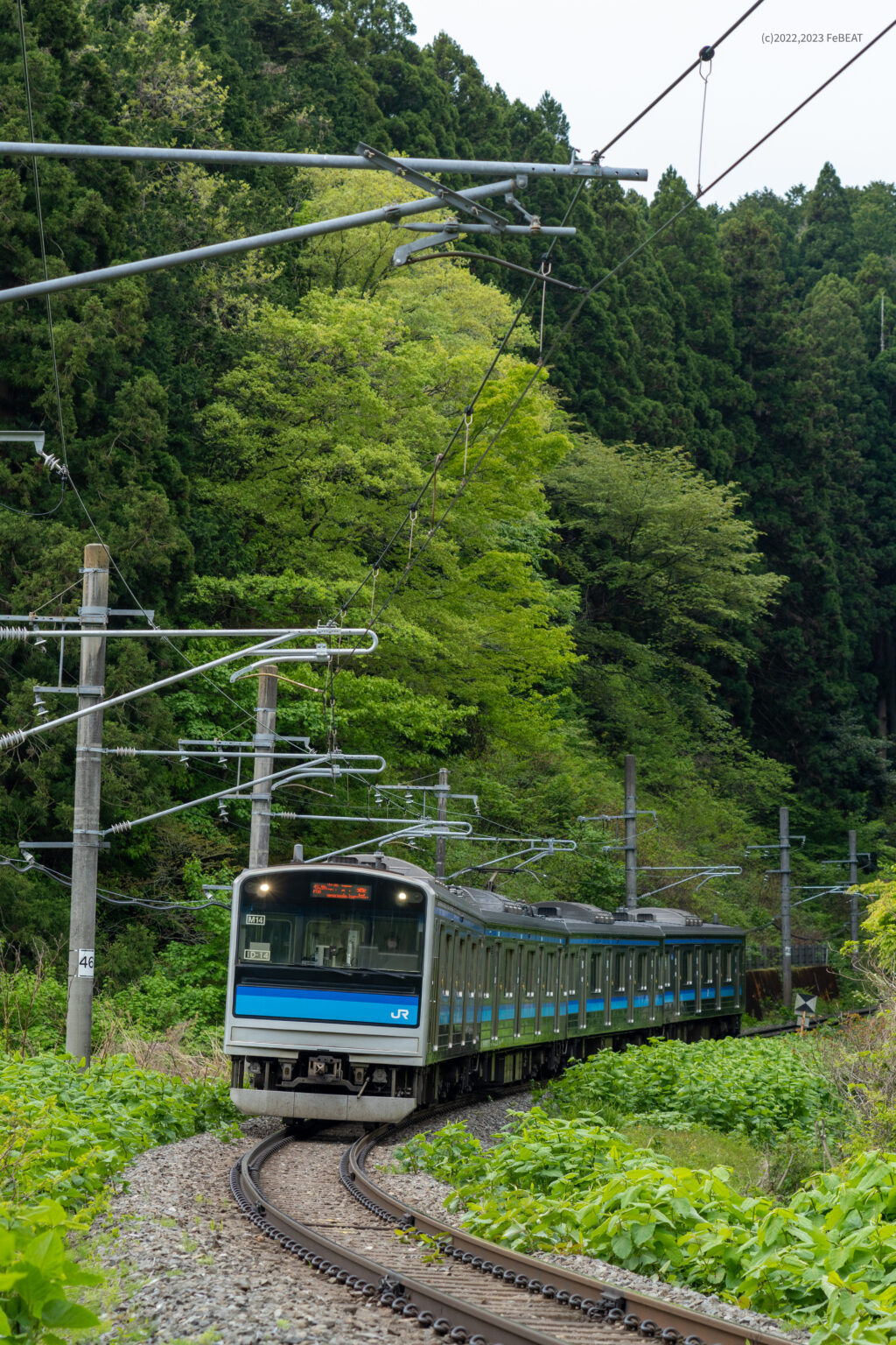 仙石線 春の風景 – 新緑の山を抜ける | いろどりの鉄道風景